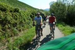 Car & Bike 2015 (Bild 30)