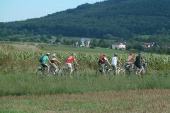 Car & Bike 2015 (Bild 49)