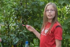 Jahrgangspräsentation (Bild 436)
